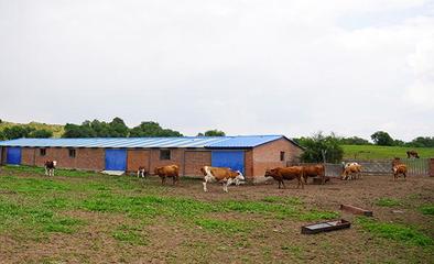 禁牧區牧民贊國策，生態與生計雙贏的新篇章